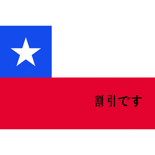 東京製旗　国旗Ｎｏ．１（７０×１０５ｃｍ）　チリ　