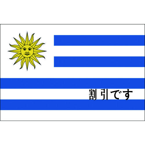 東京製旗　国旗Ｎｏ．２（９０×１３５ｃｍ）　ウルグアイ　